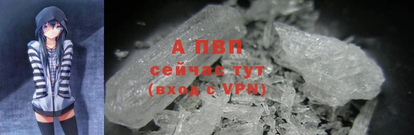 стафф Нефтегорск
