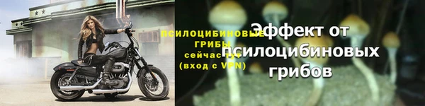 стафф Нефтегорск